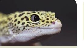 look at that Screenshot 2024 08 19 12.12.59 PM